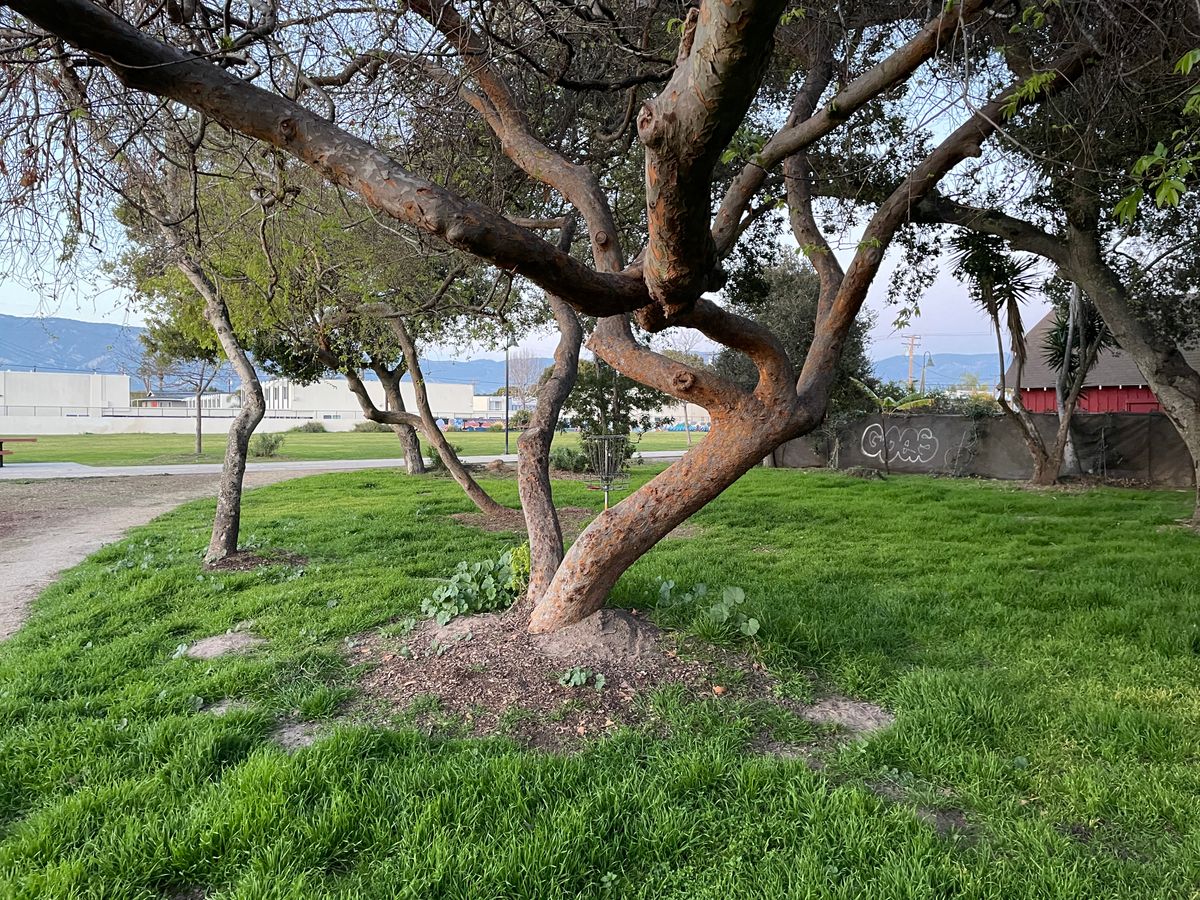 Hole 9