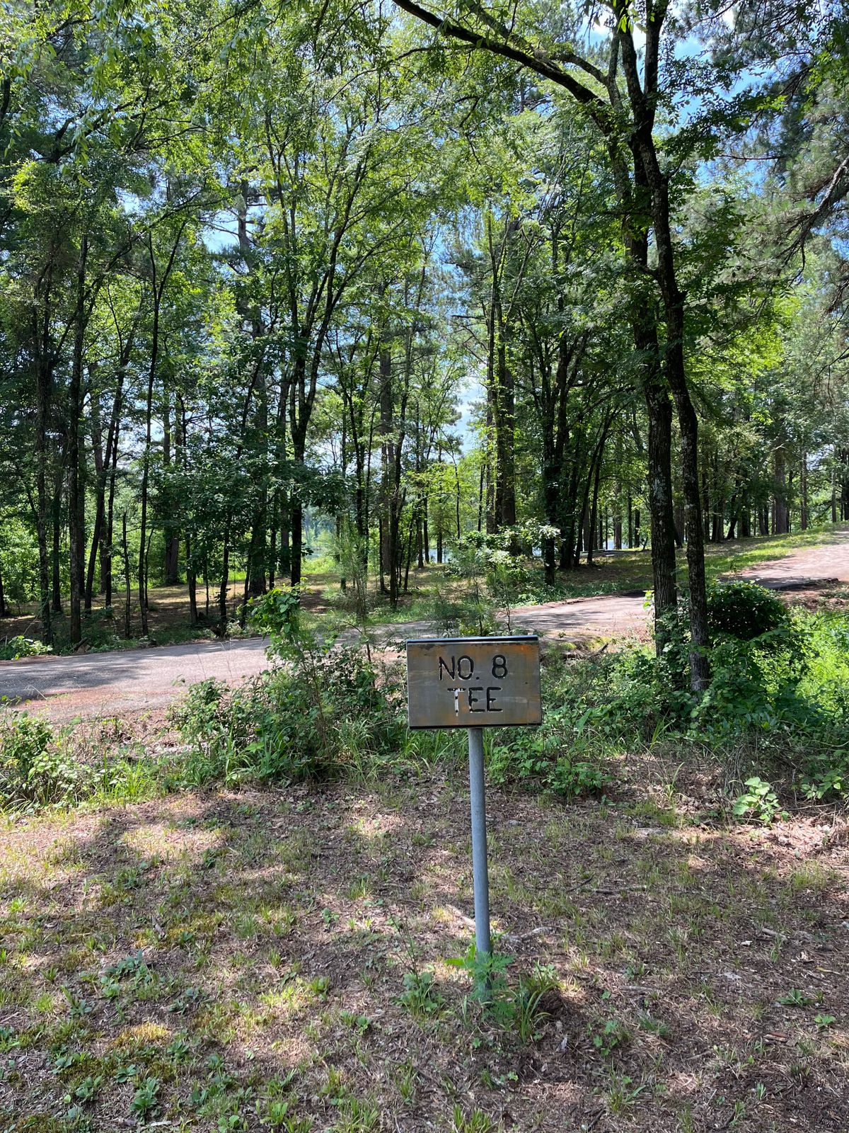 Hole 8 Tee