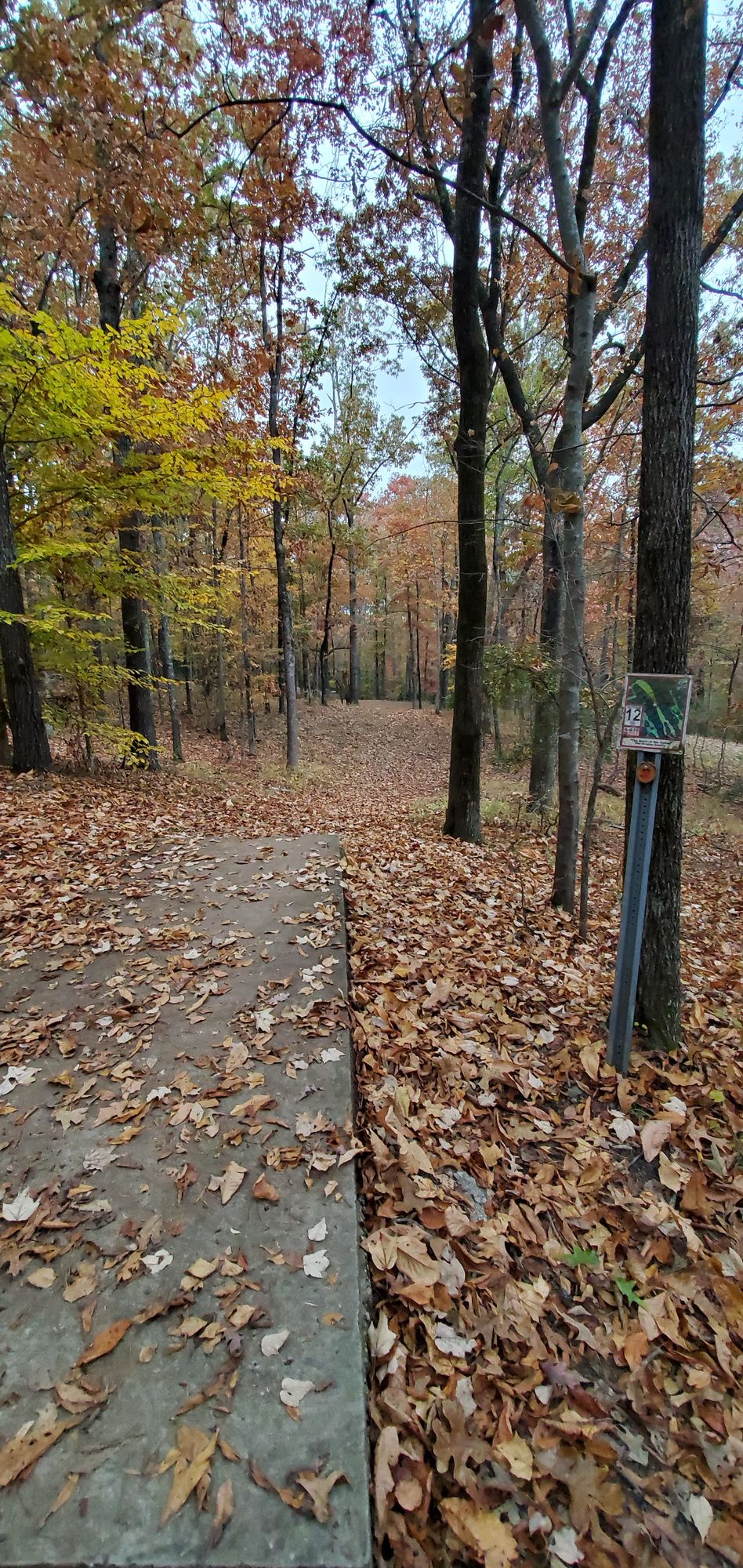 Hole 12 Red Tee Box
