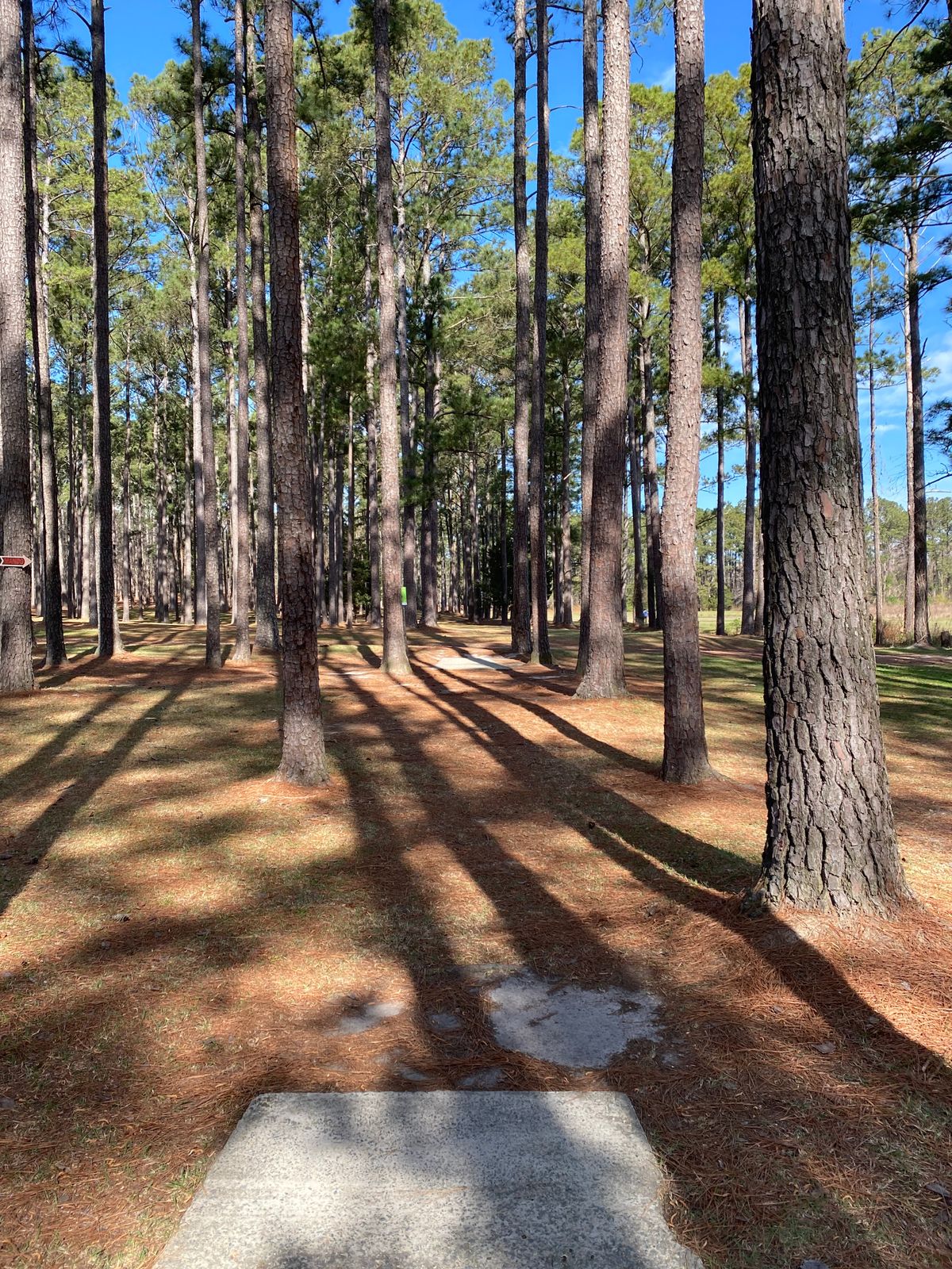 Hole 17 Blue Tee