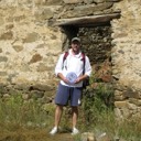 coniff