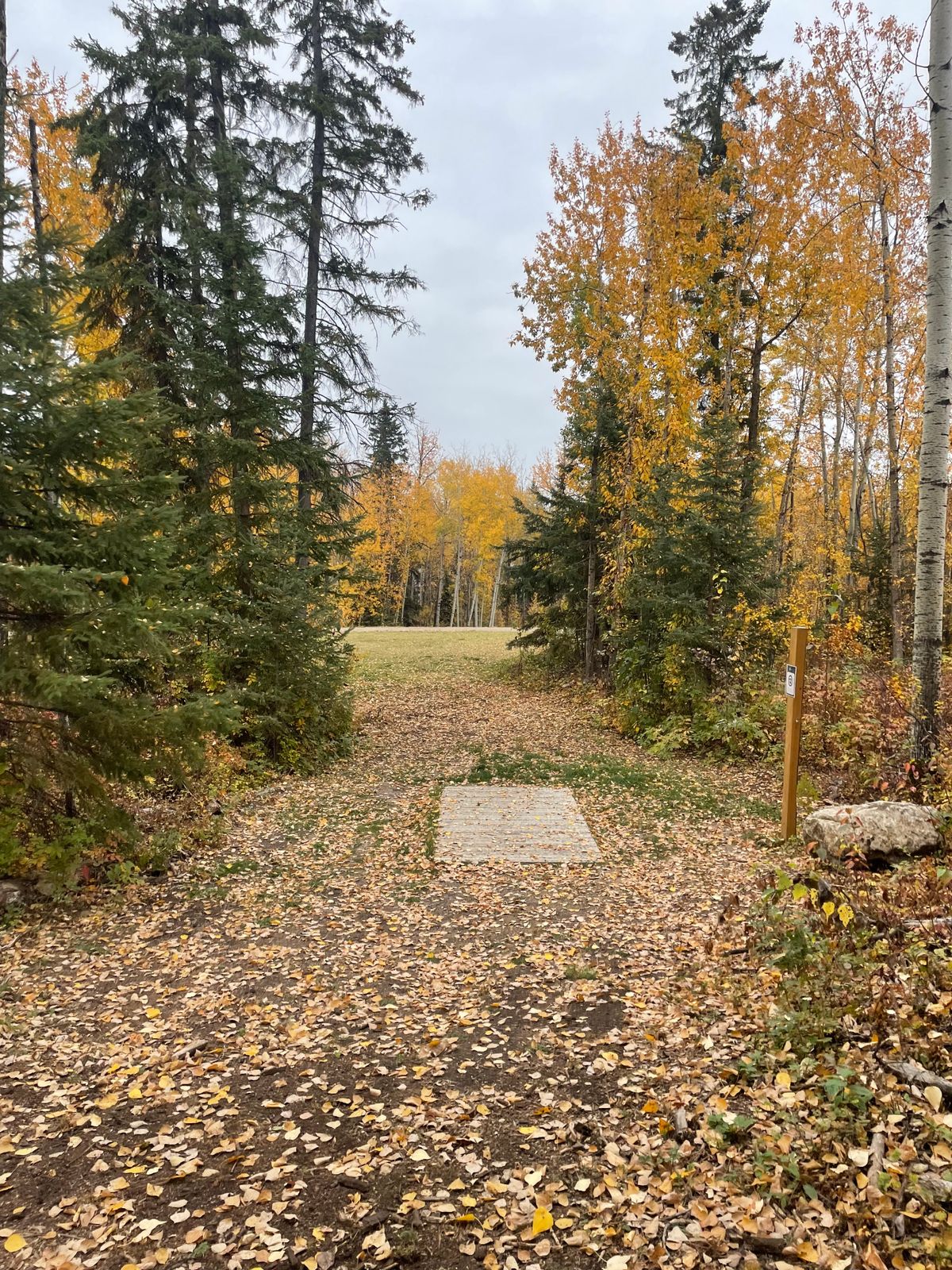baskets are over the pipeline down the hill