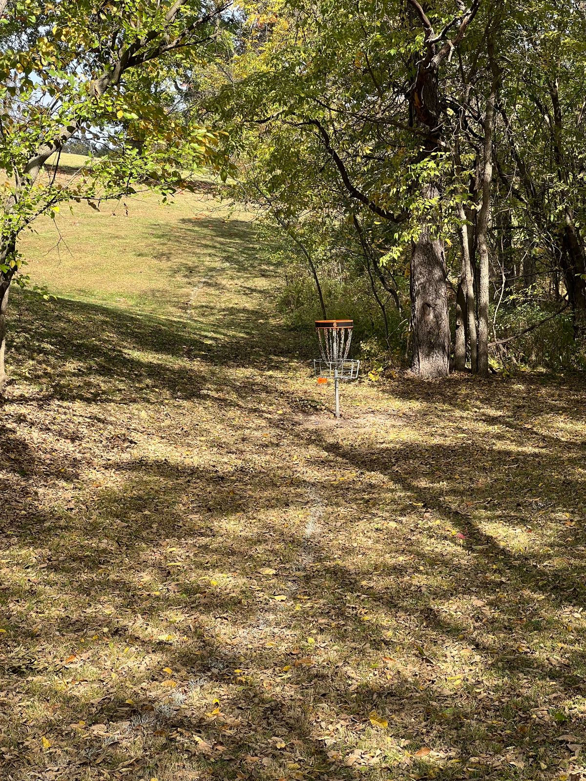 Walnuts on the ground are a seasonal issue!