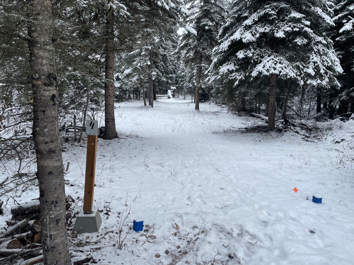 Hole 4 tee pad