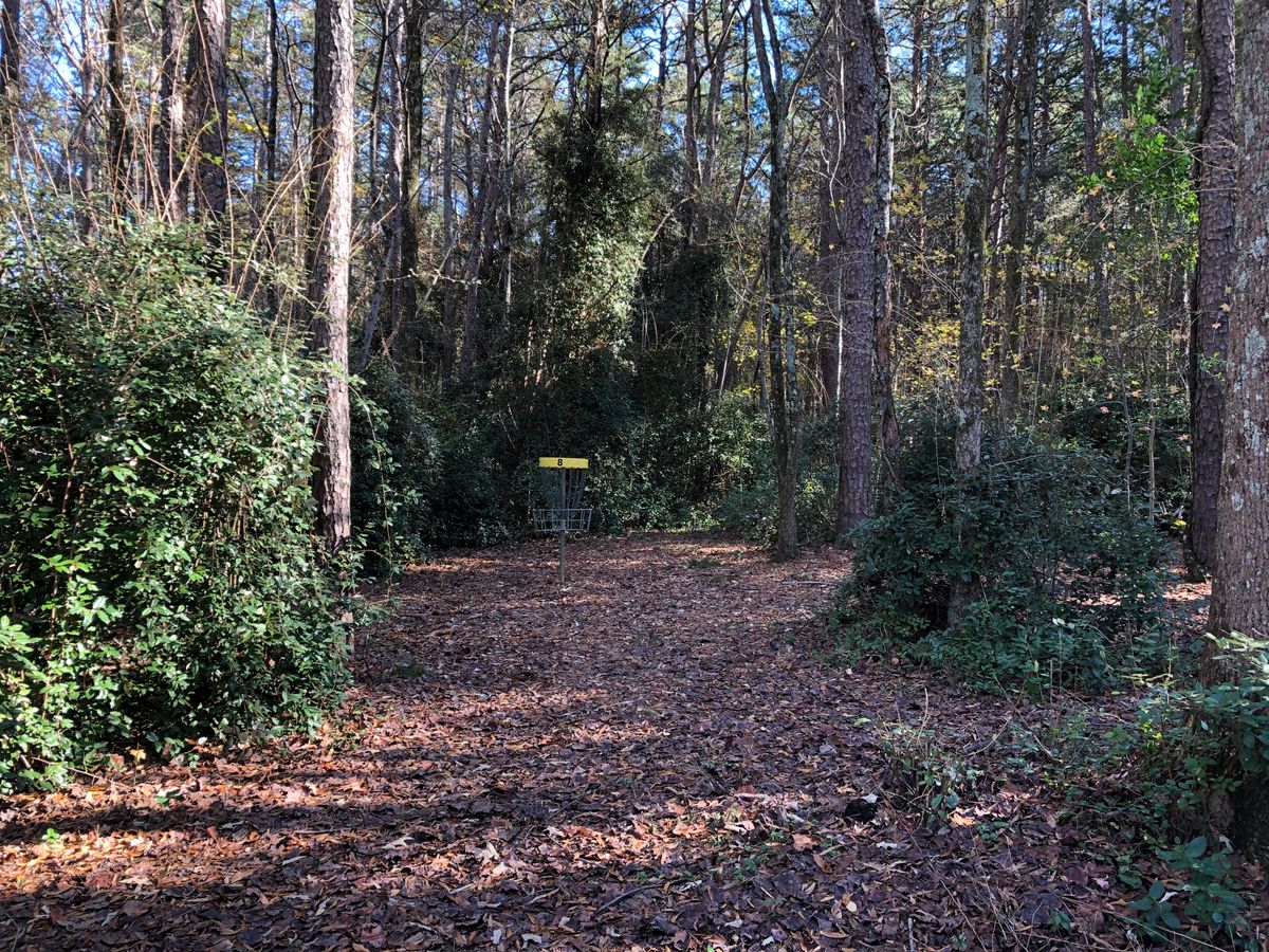 A well protected basket on hole 6. This was a sharp dogwood right