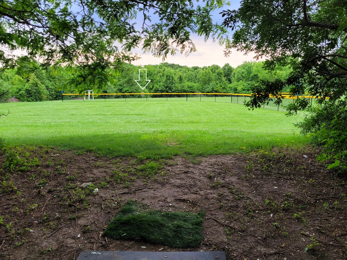 Hole 11 tee