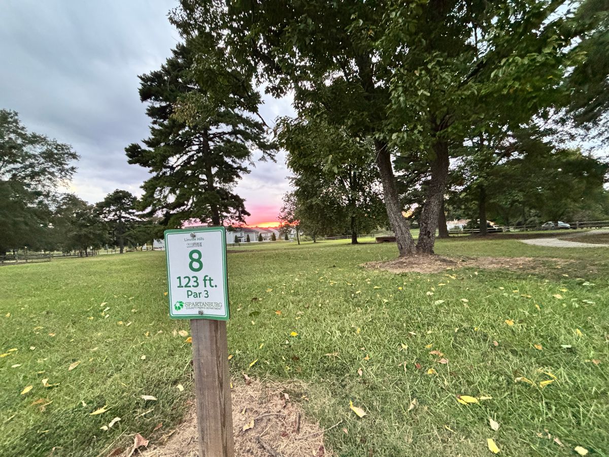 Sunset on hole 8