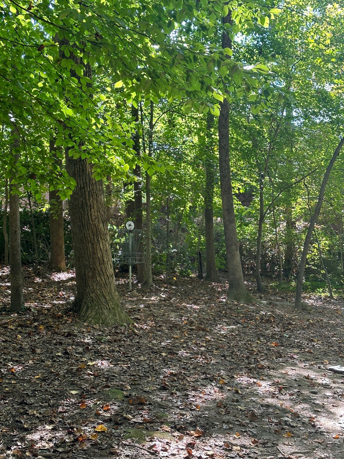 Hole #16 basket - tucked away to the left of the fairway
