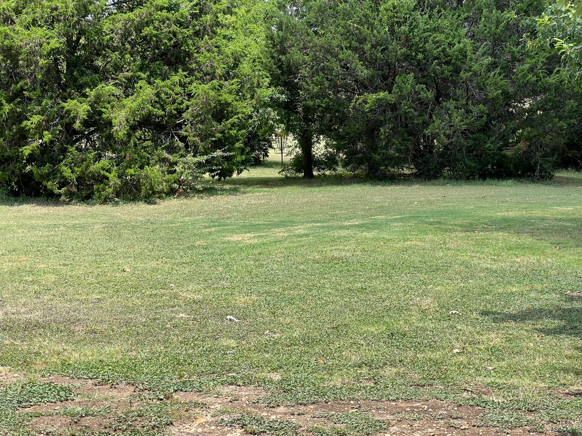 Hole 1 basket.