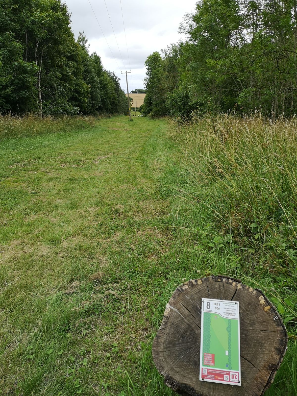 View from White Tee Hole 8