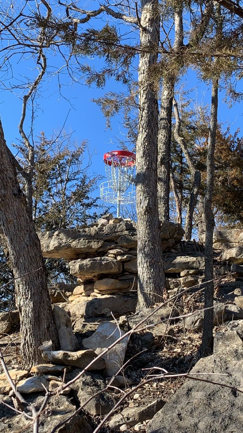Hole 14: "Precipice" from left and below the basket.