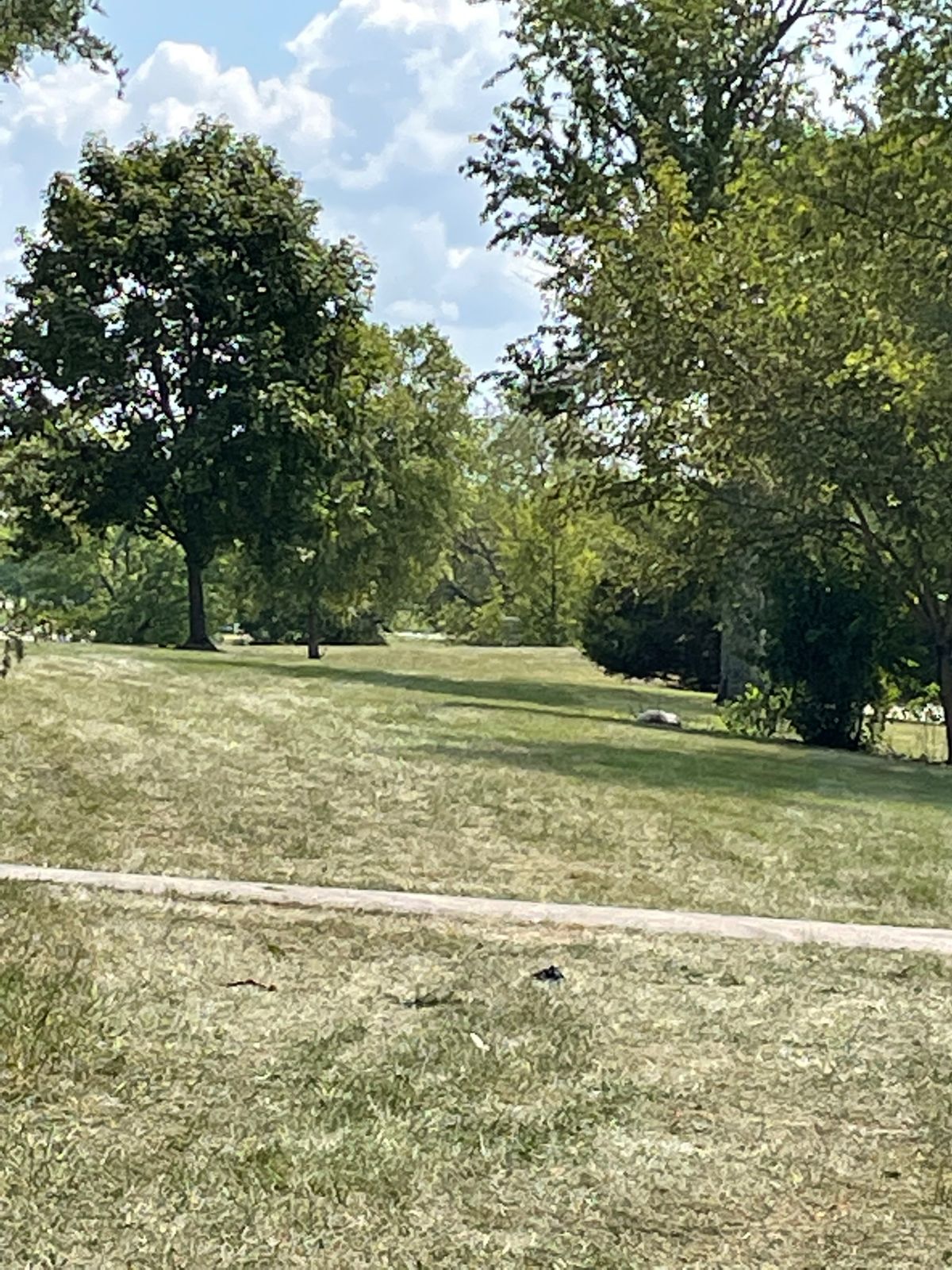 View from 17’s tee