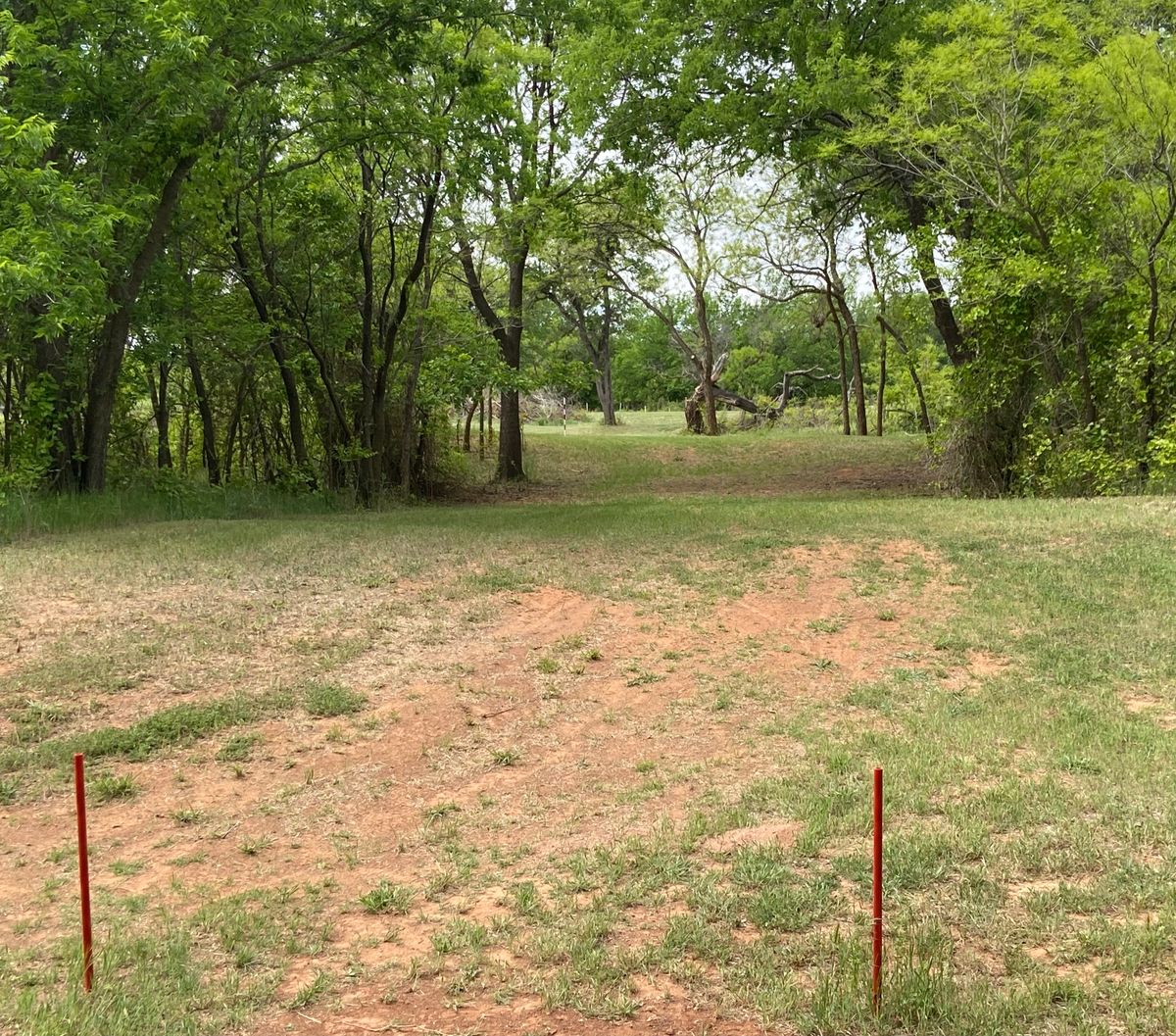 #5 Drop Zone