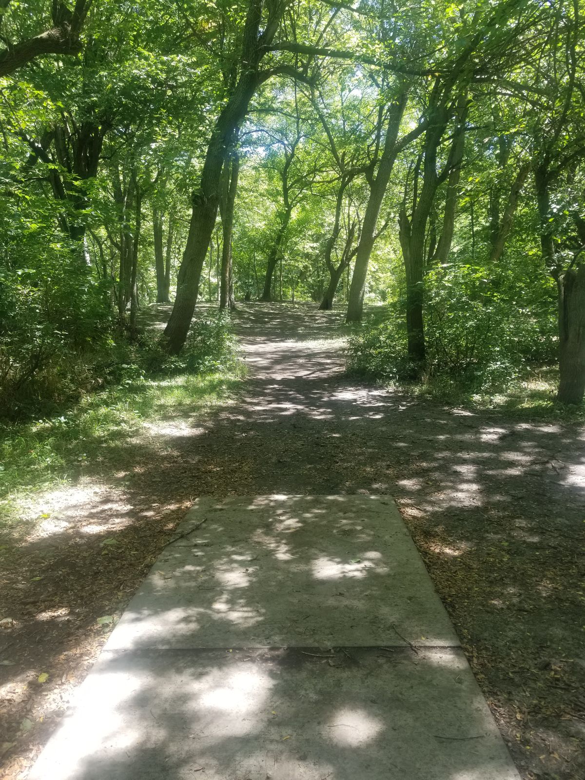 Hole #7, Red Tee