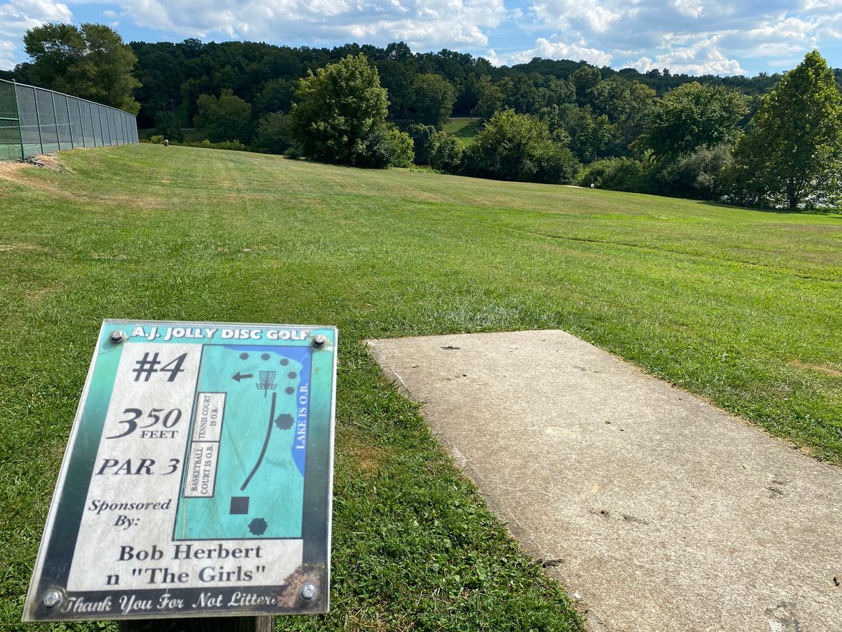 Hole 4, taken 9/4/2023.  Basket is behind the trees through the gap.