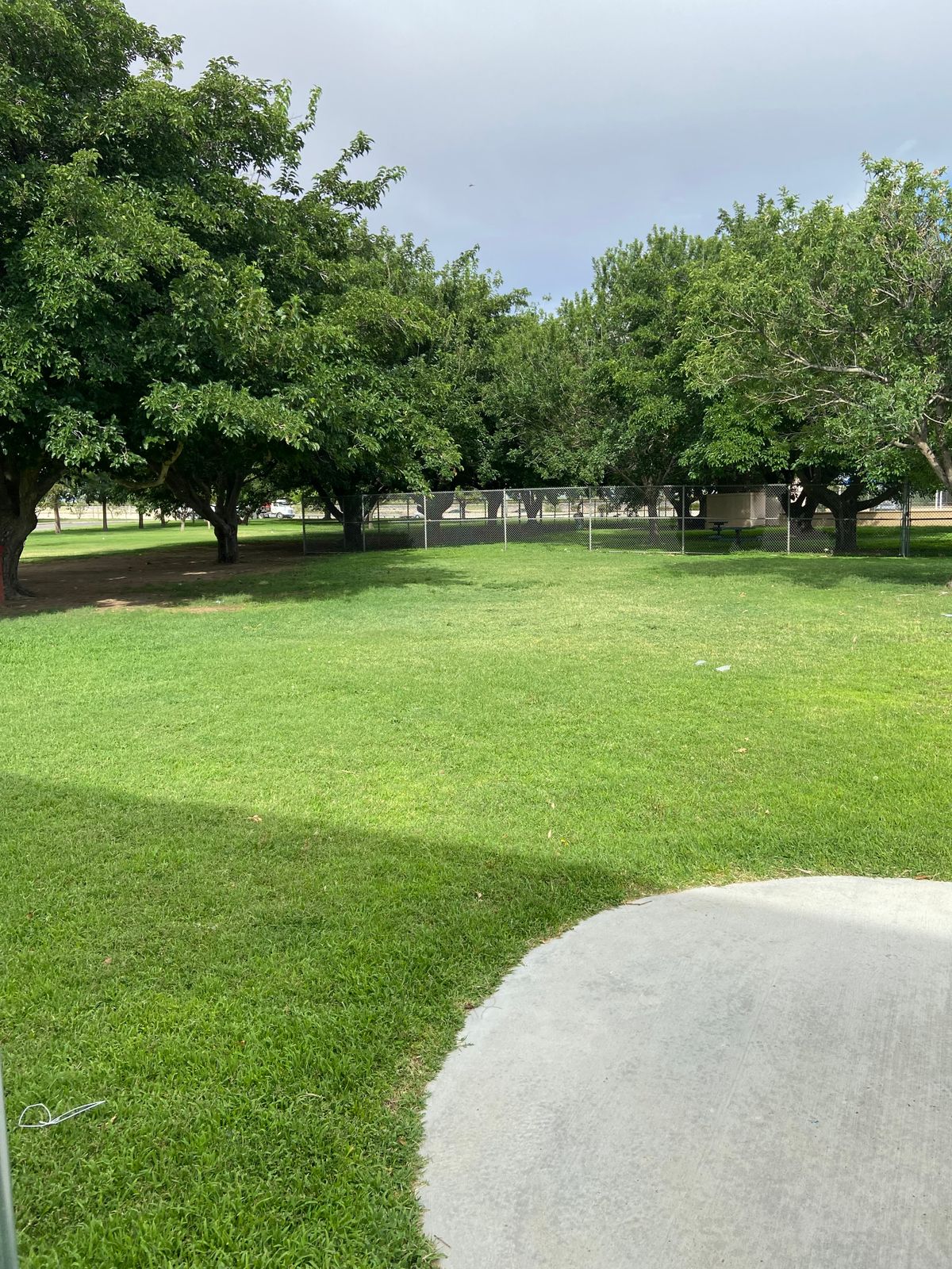 Hole 9 basket over to the right