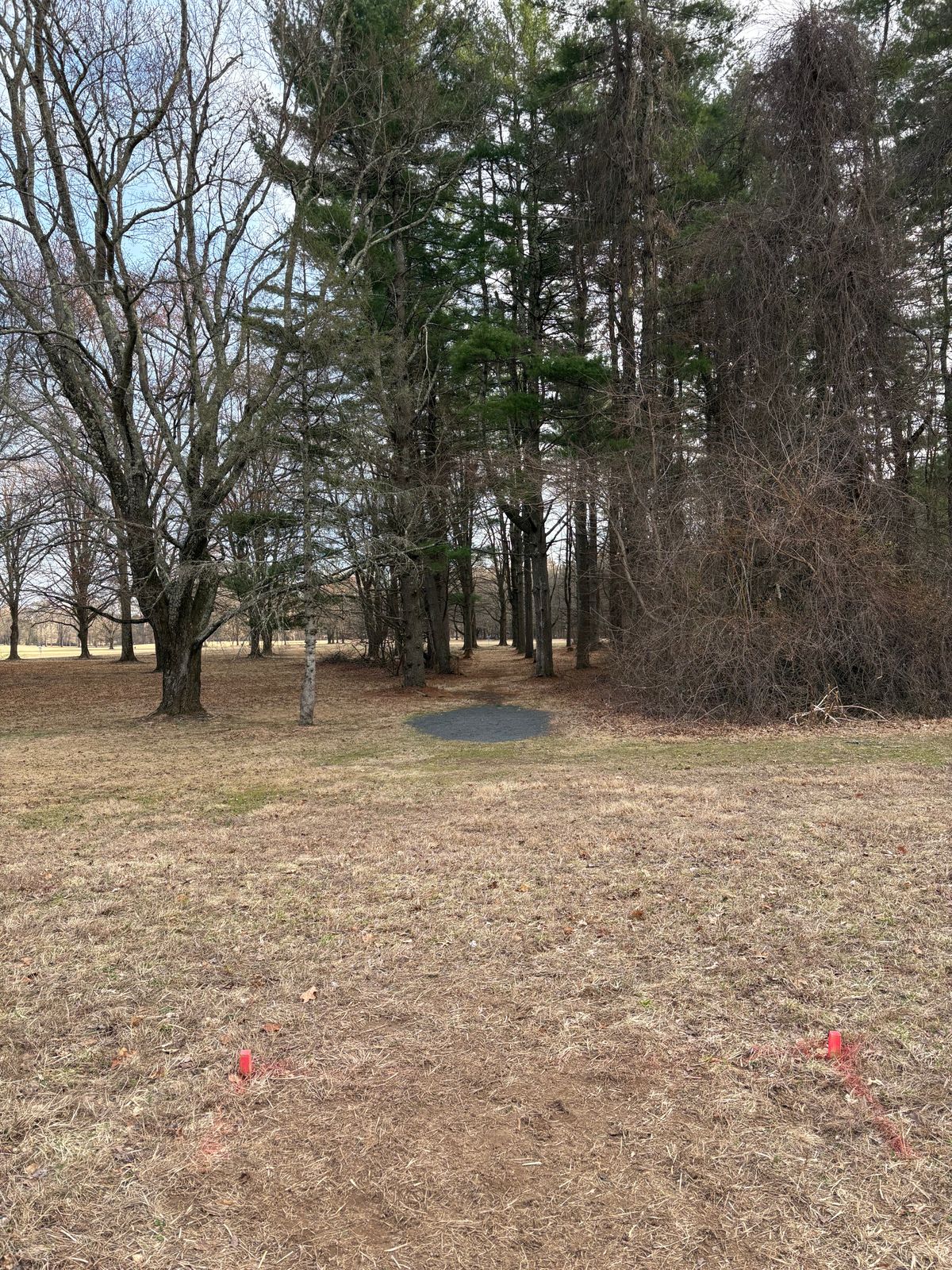 Proposed 14 is about 50 feet back of the gravel pad.