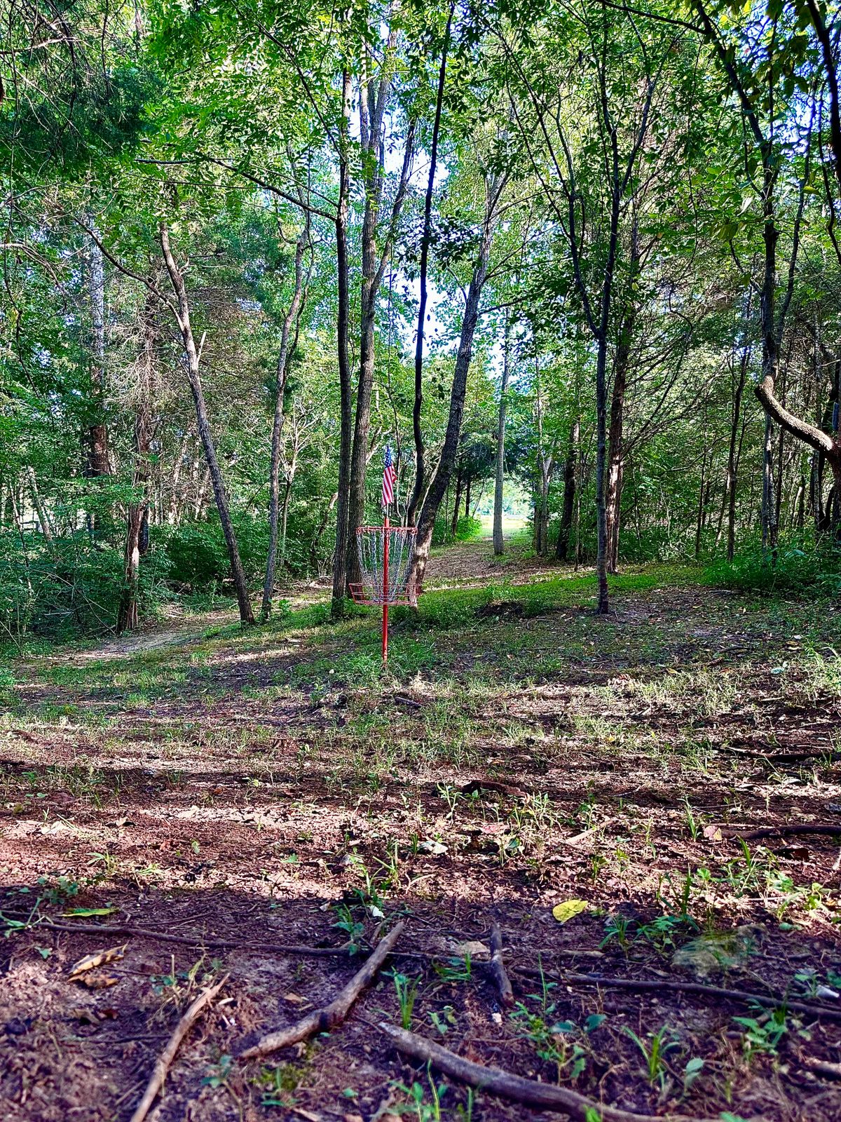 Hole 10 basket looking back towards the tee pad