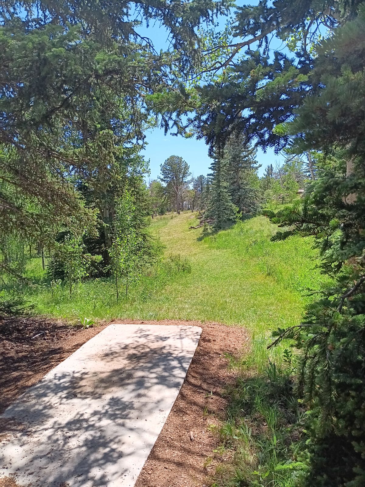 Awesome course!