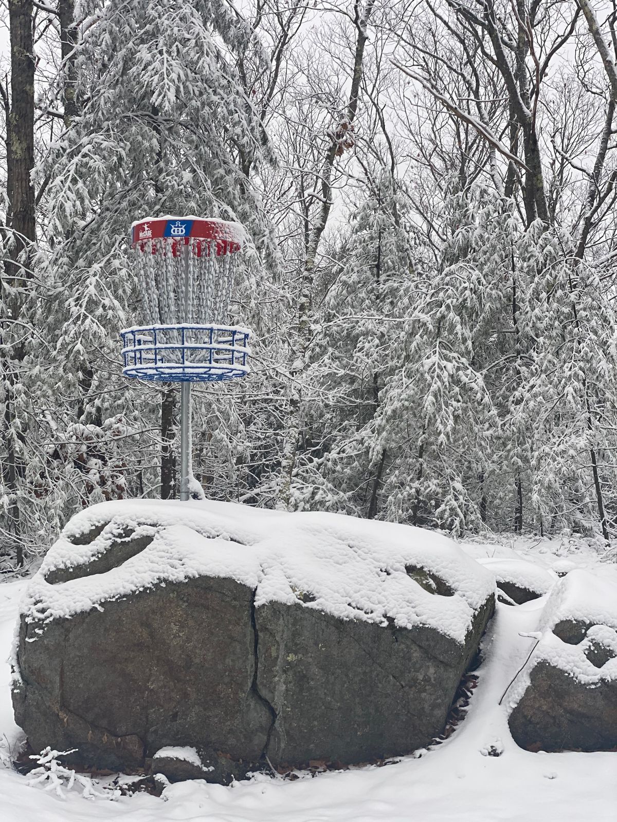 Winter - Hole 5 Basket