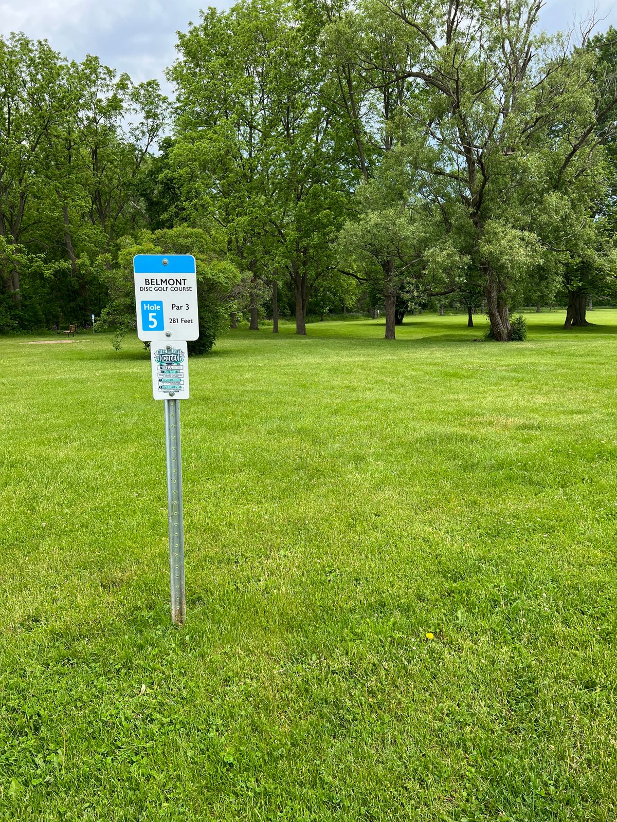 Hole 5 tee