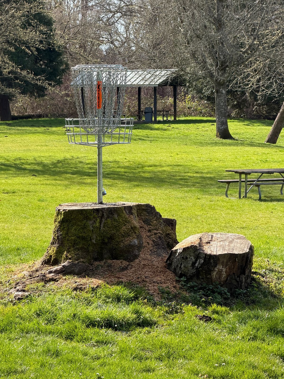 The Signature Stump Hole