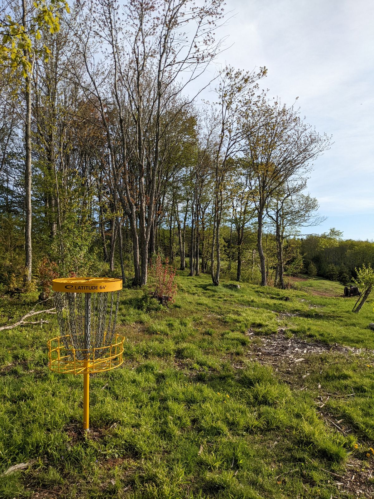 Hole 4 basket