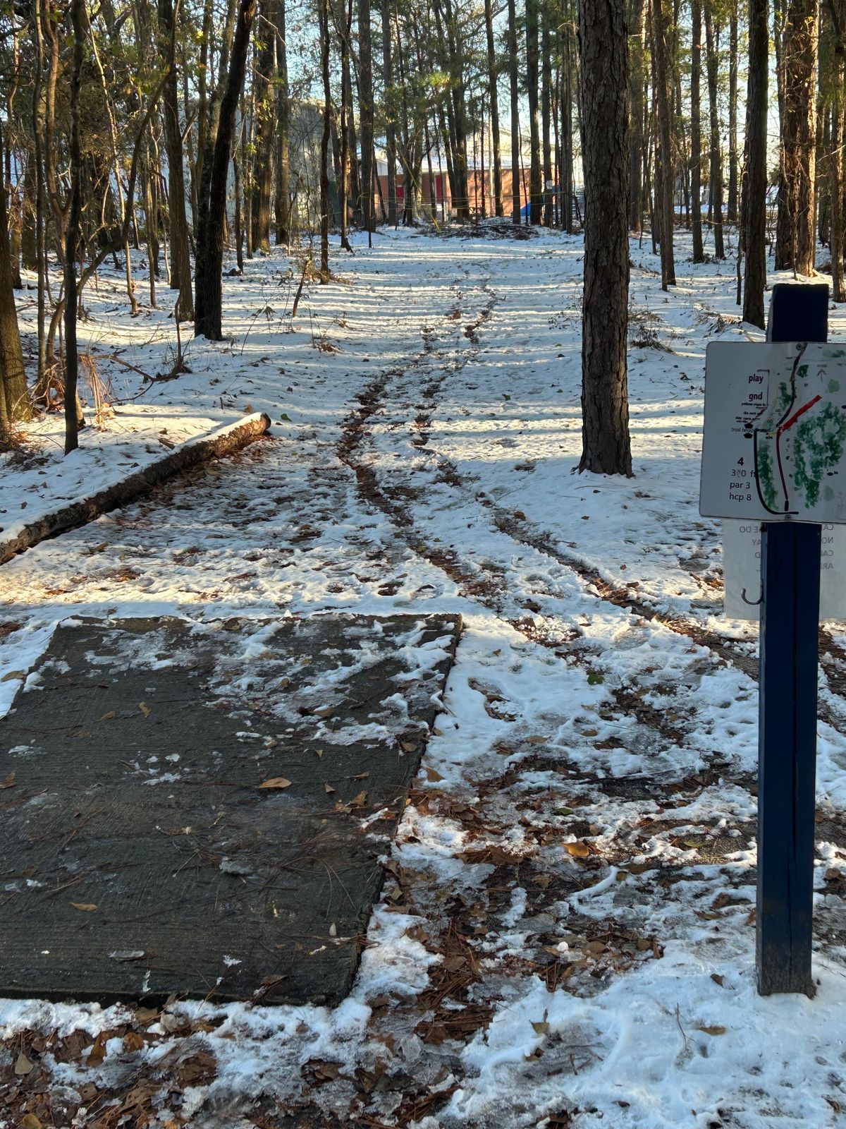 Hole 4 tee