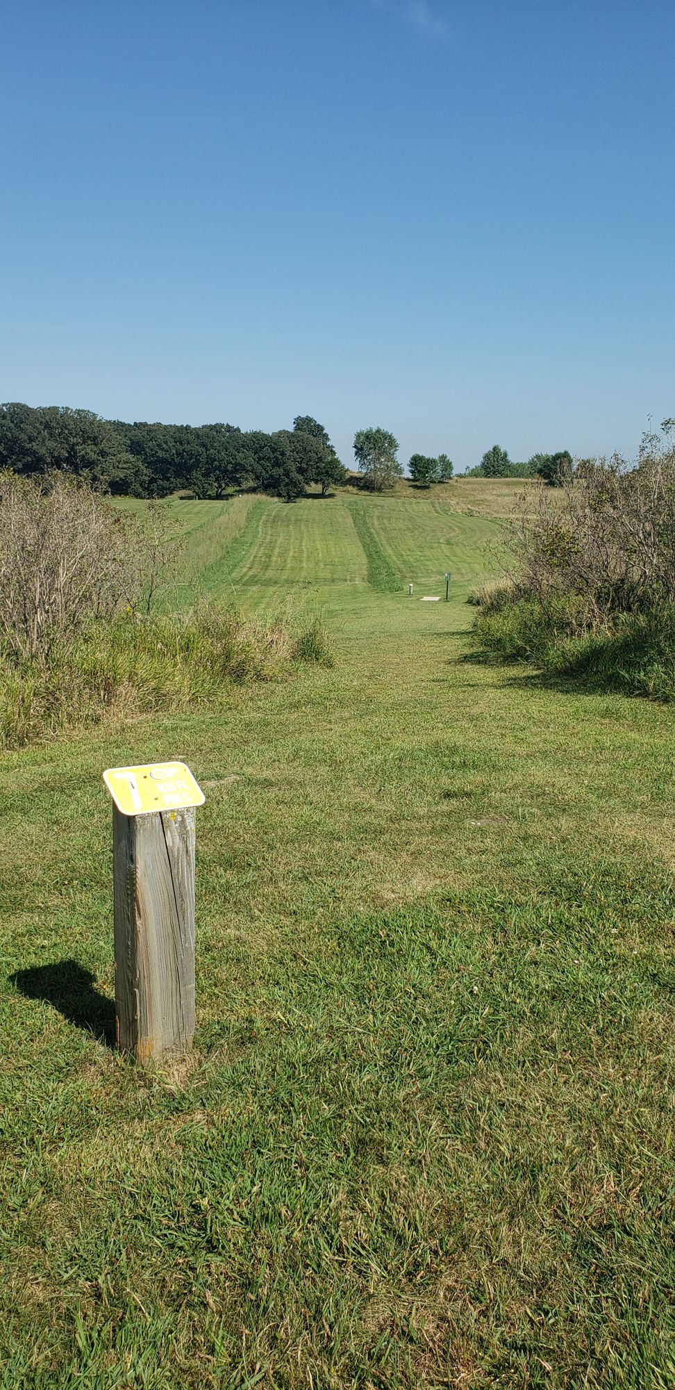 Hole 7 Gold tee
