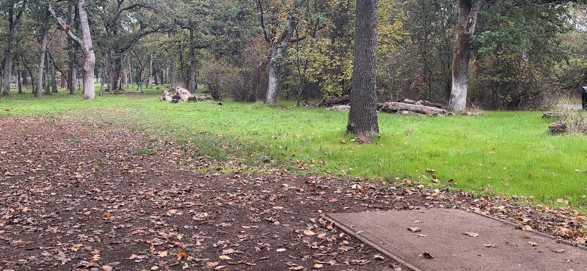 Hole 6
