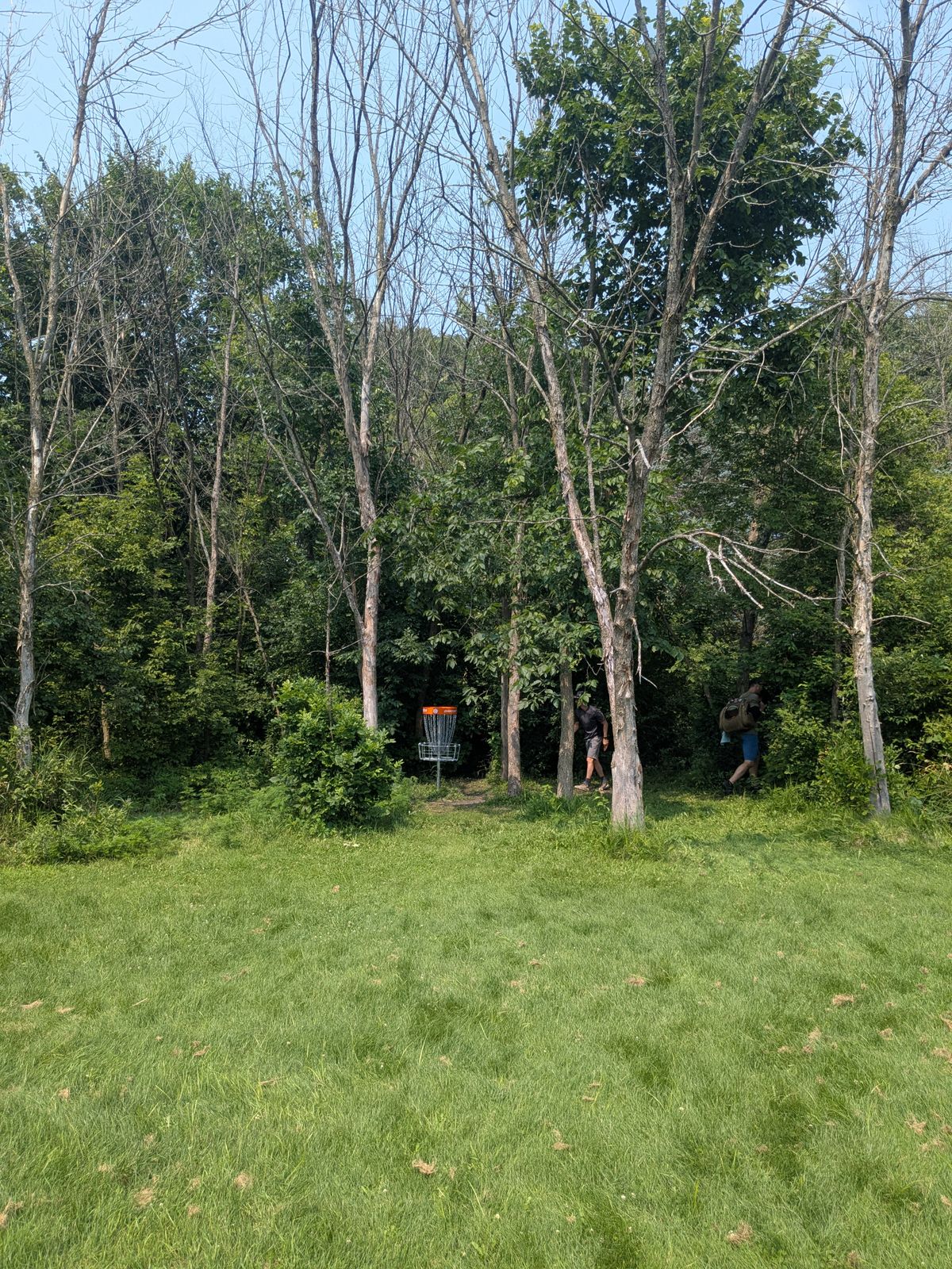 Hole 5 long pin