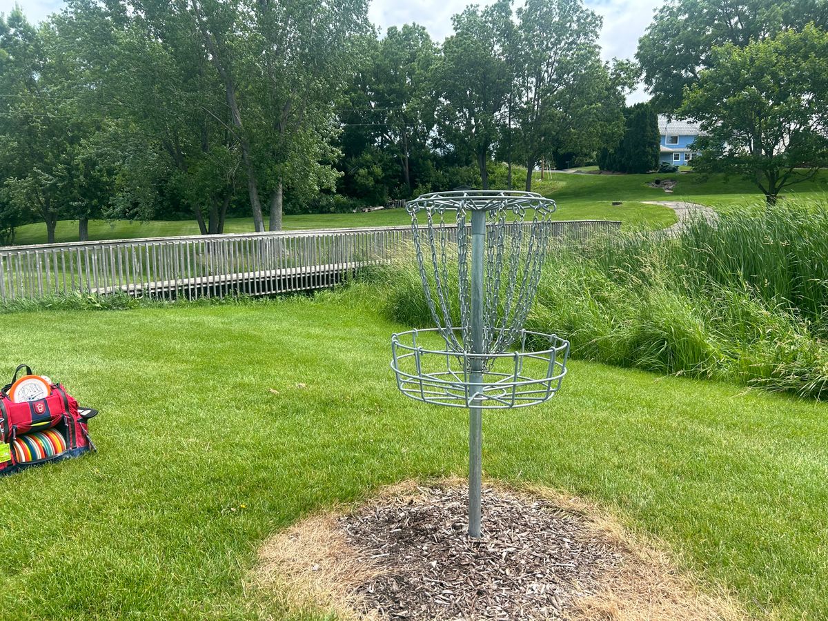 Hole 7 basket