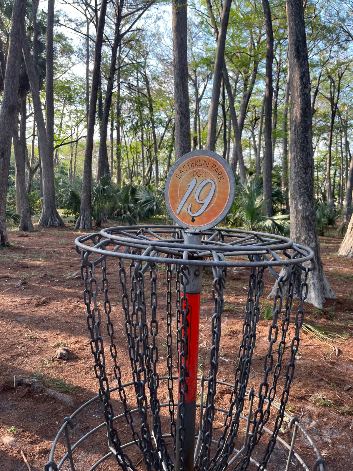 hole 19 with the trees
