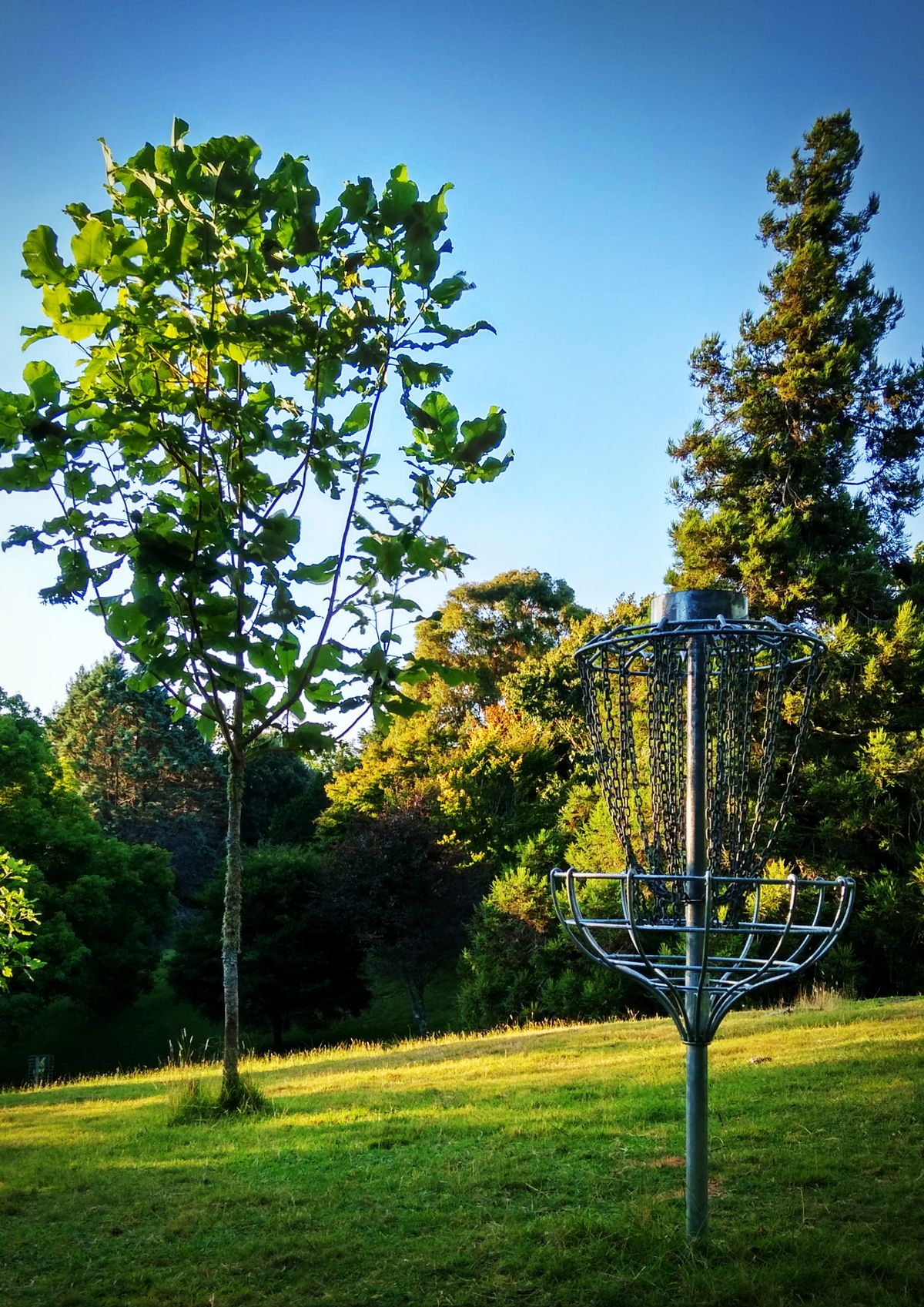 Hole eight/20