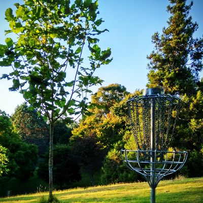 Hole eight/20