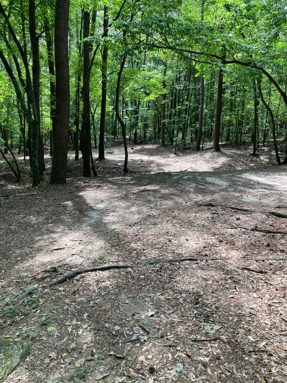 Hole 14 - dogleg at top of hill - great landing zone for drive
