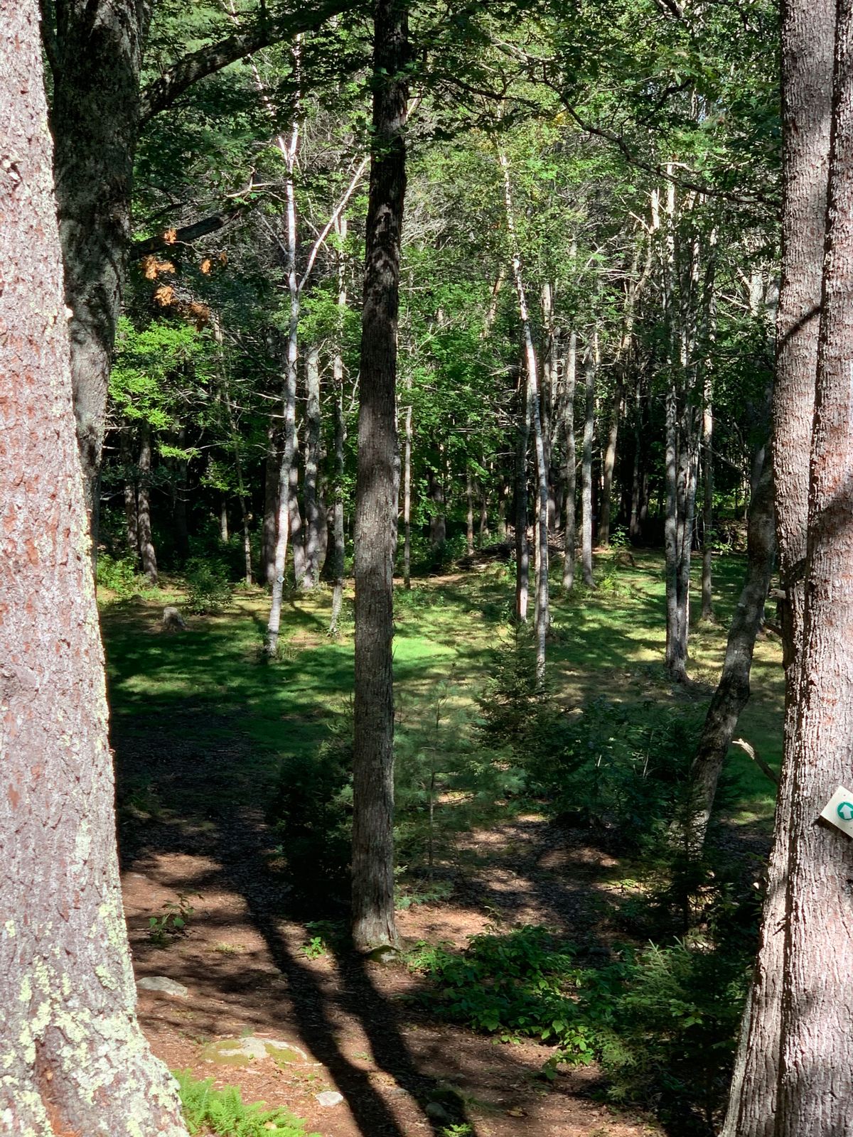 Tee shot hole 9. Down the path to the right