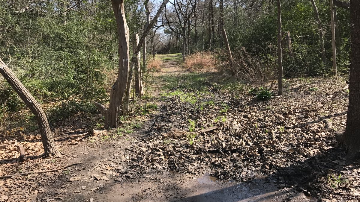 Hole 13