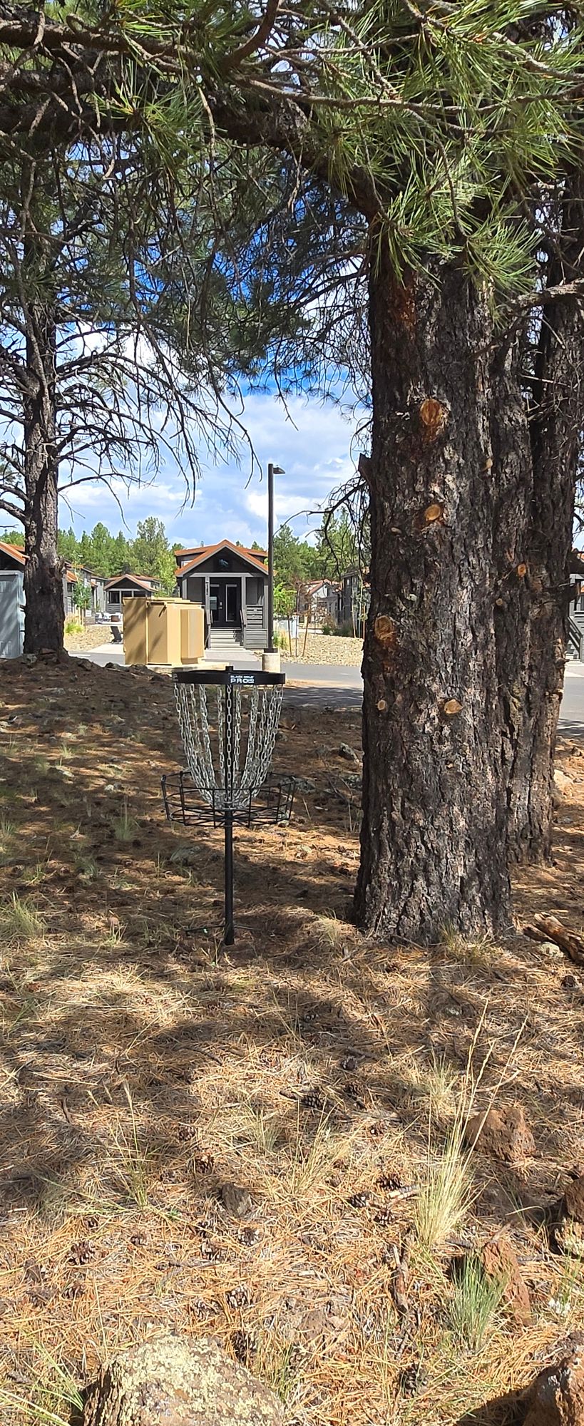 Hole 8