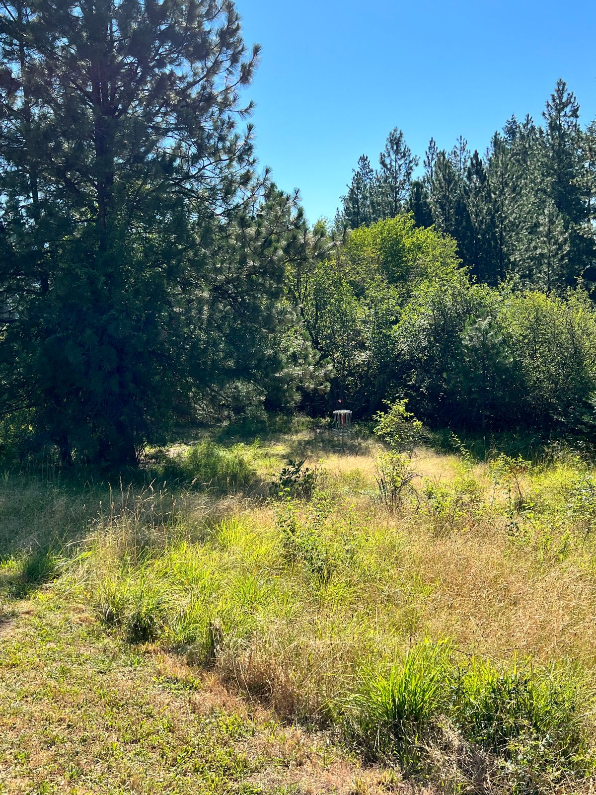 Hole 7 green