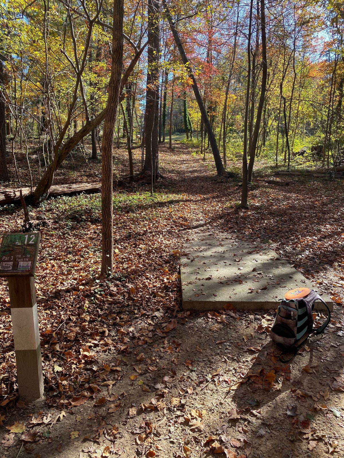 Hole 12