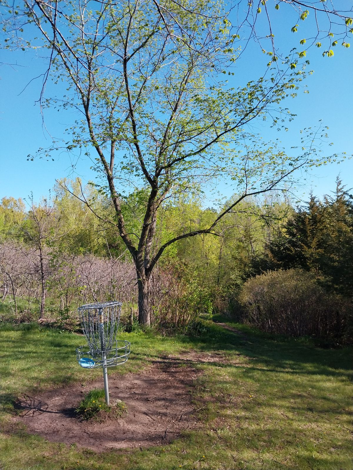 Basket of 5. Trail to 6.