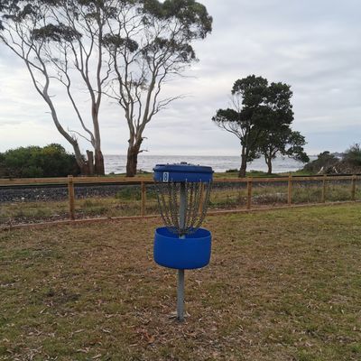 8th Basket