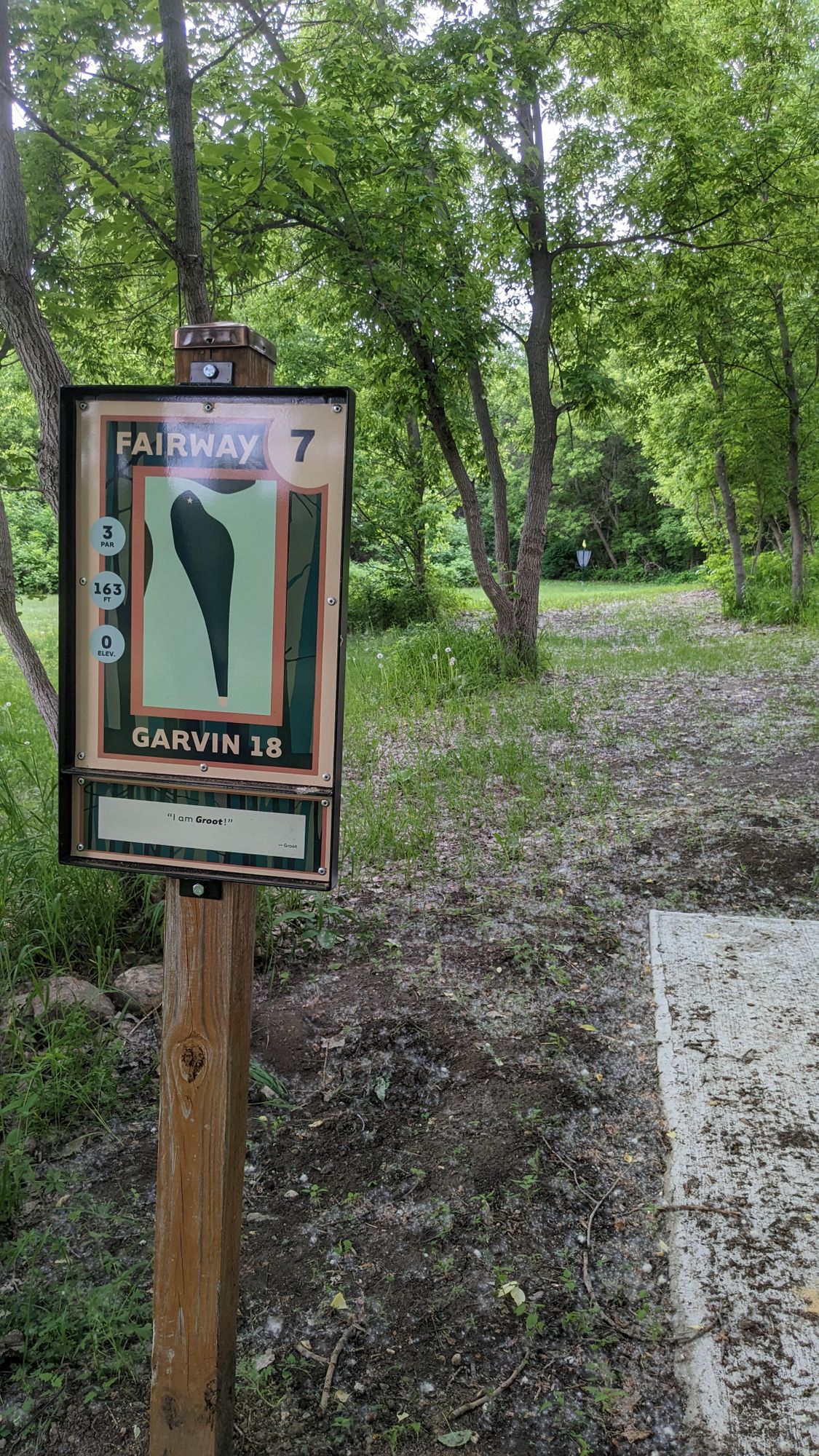Tee 7