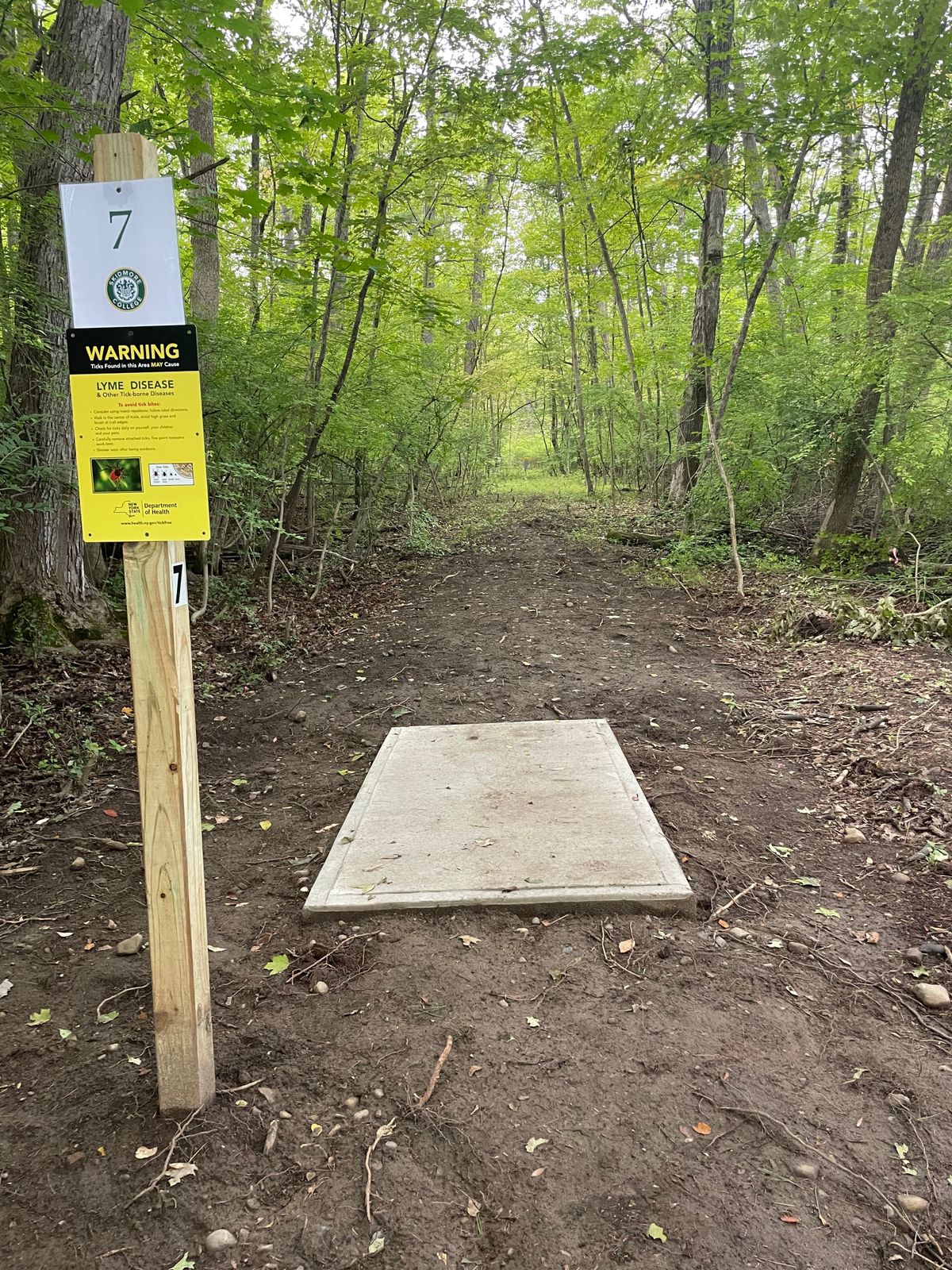 Hole 7 Tee