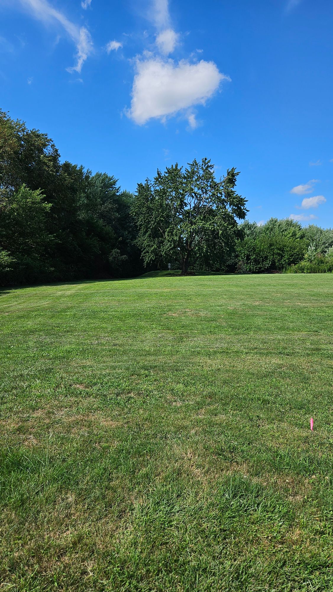 Hole 5 Tee