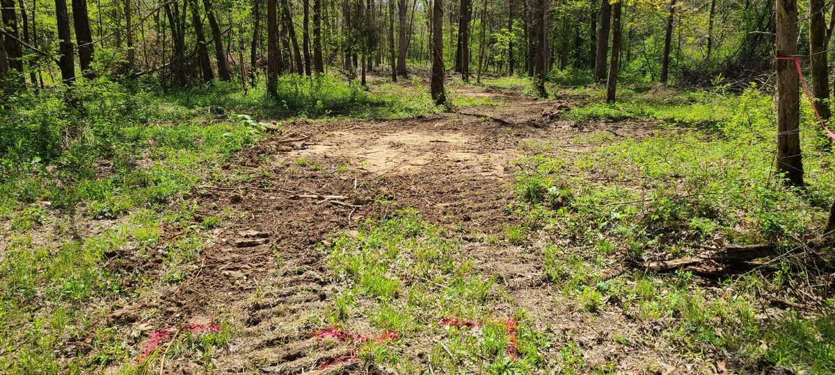 Hole 7 tee