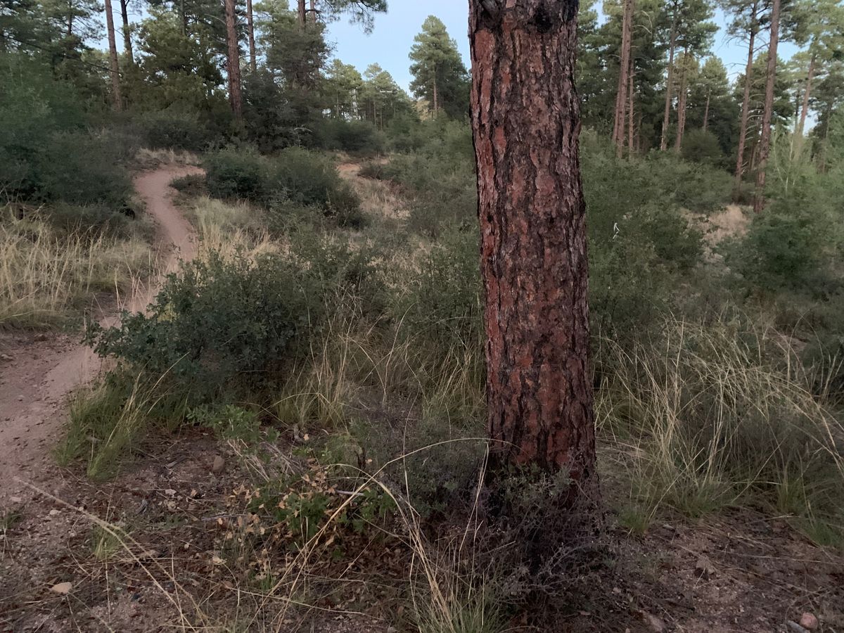 Hole 5 - tape was removed