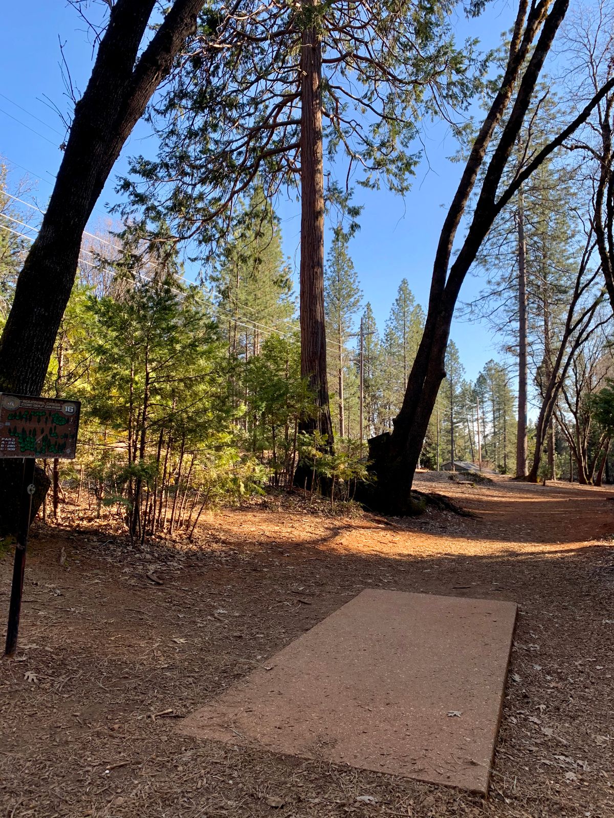 Hole 16 Teepad