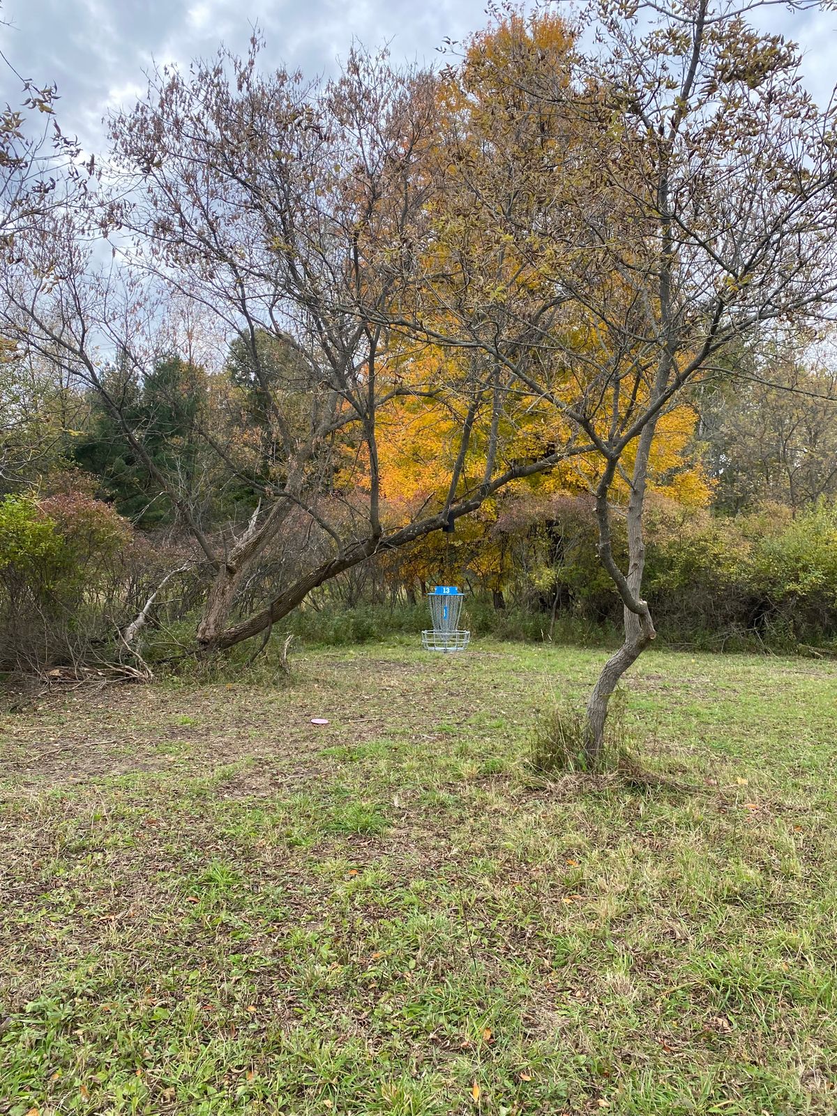Hole 13 basket